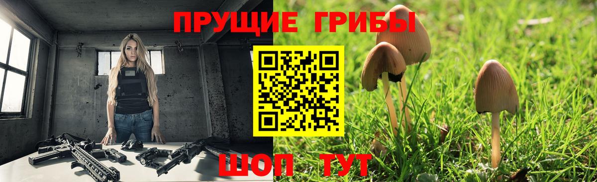 Псилоцибиновые грибы Cubensis  Вход с VPN  Октябрьский  Галлюциногенные грибы ЛСД 
